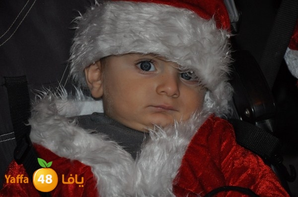 tree light 1208 (79).JPG